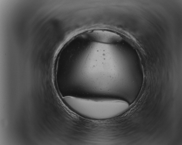 X0000052641512200507160143