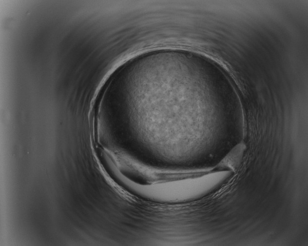 X0000052641515200507160143