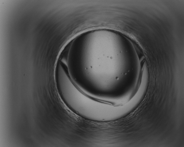 X0000052641516200507160143