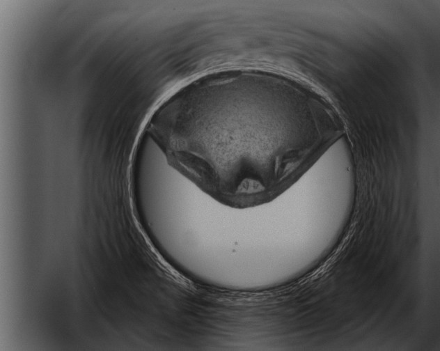 X0000052641517200507160143