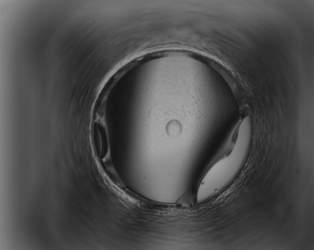 X0000052641518200507160143