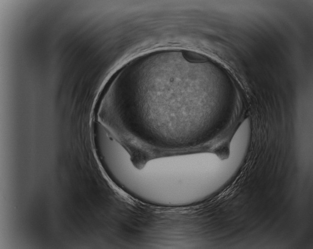 X0000052641519200507160143