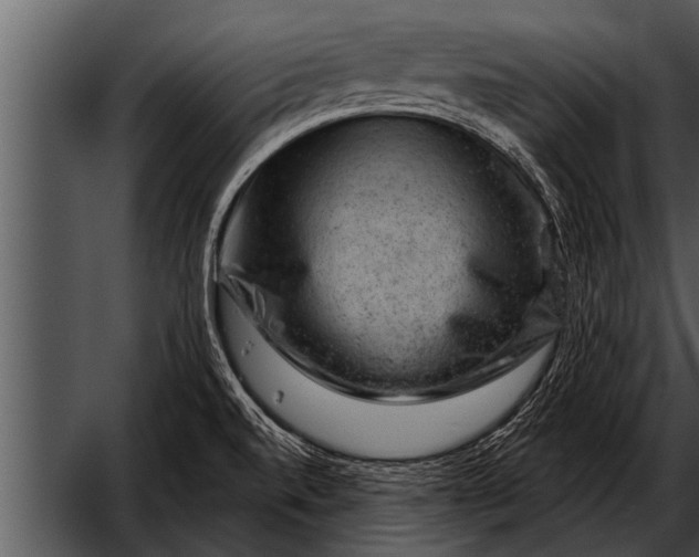 X0000052641520200507160143