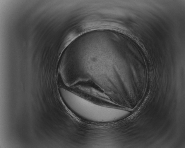 X0000052641521200507160143