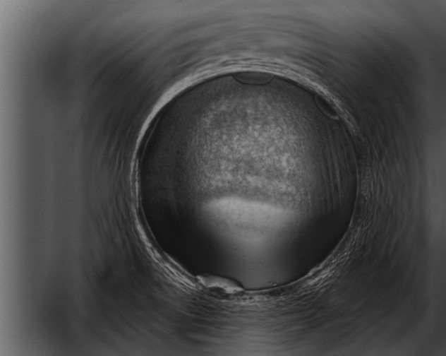 X0000052641522200507160143