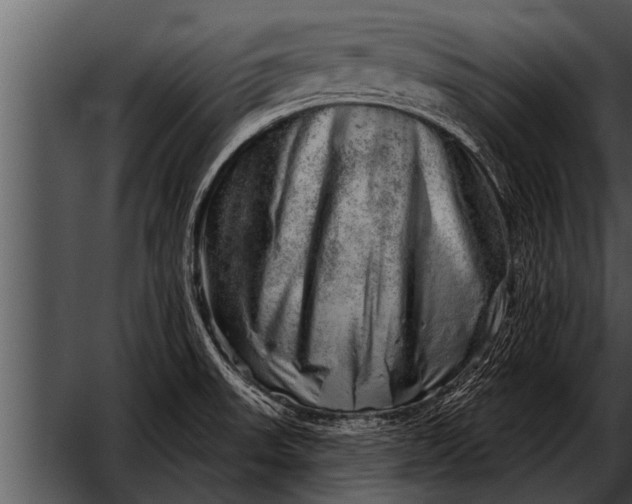 X0000052641523200507160143