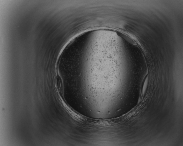 X0000052641524200507160143