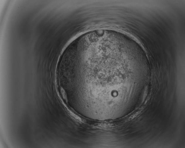 X0000052641525200507160143