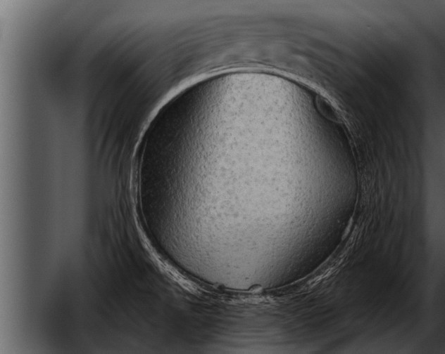 X0000052641526200507160143