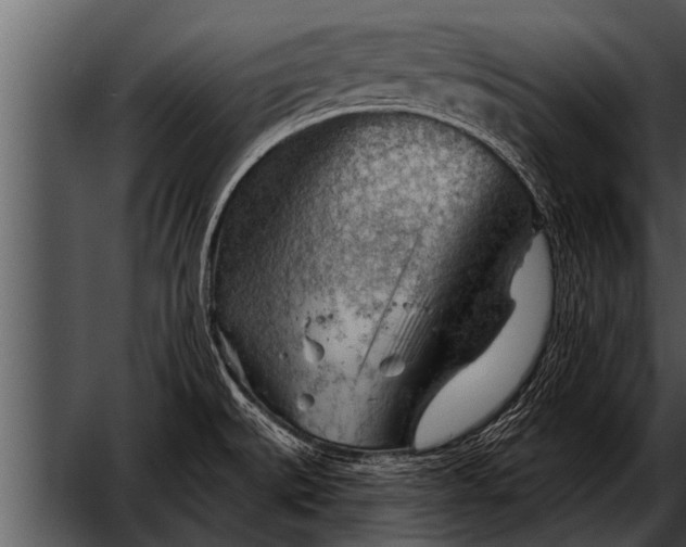 X0000052641527200507160143