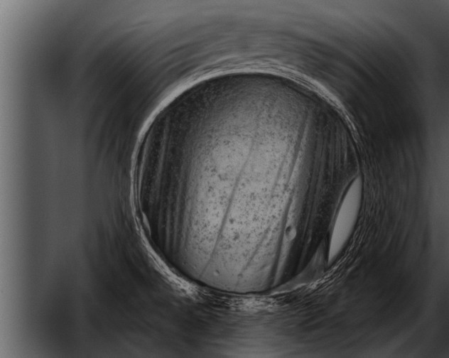 X0000052641528200507160143