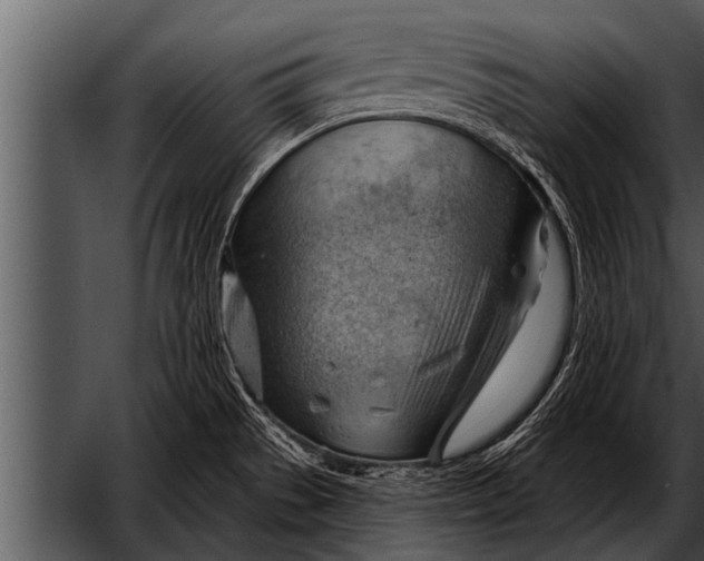 X0000052641529200507160143