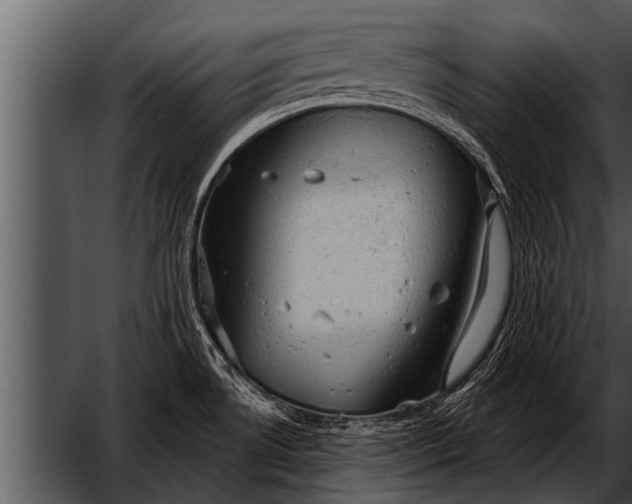 X0000052641530200507160143