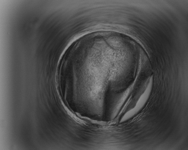 X0000052641531200507160143