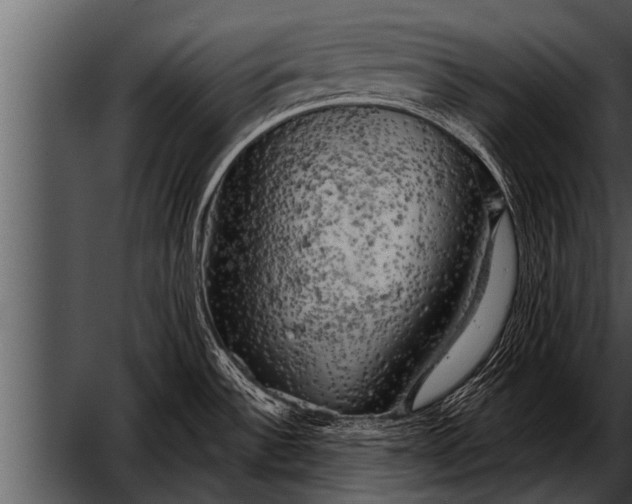 X0000052641532200507160143