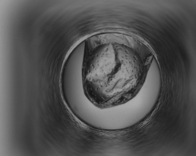 X0000052641533200507160143