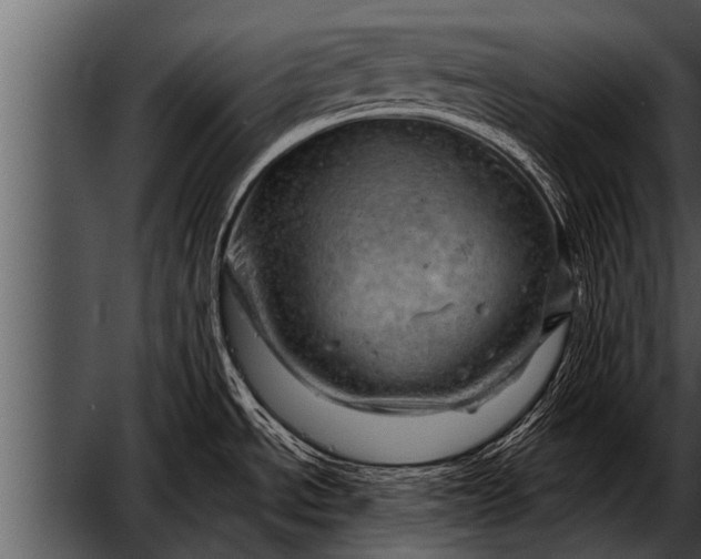 X0000052641534200507160143