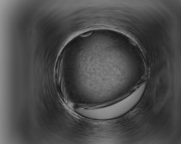 X0000052641535200507160143