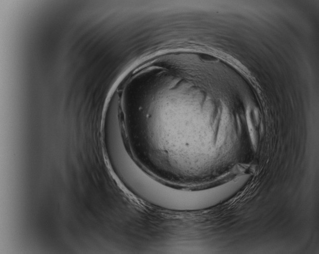 X0000052641536200507160143