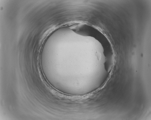 X0000052640001200507221827