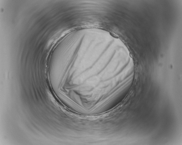 X0000052640002200507221827