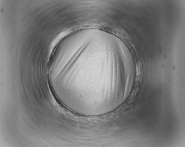 X0000052640003200507221827