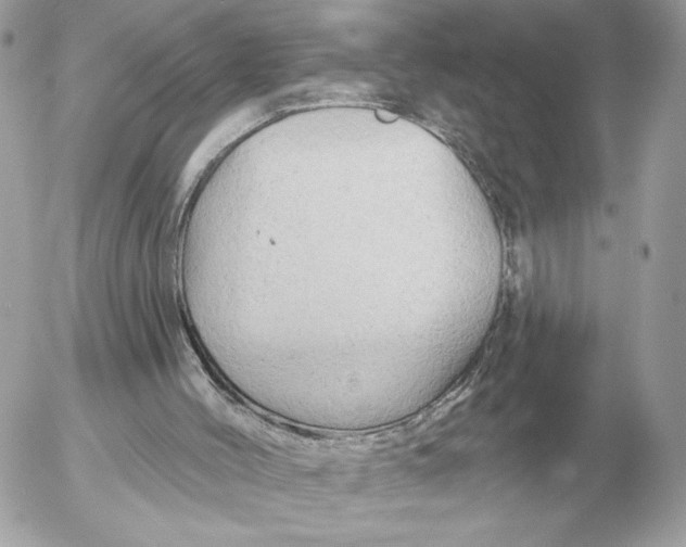 X0000052640004200507221827