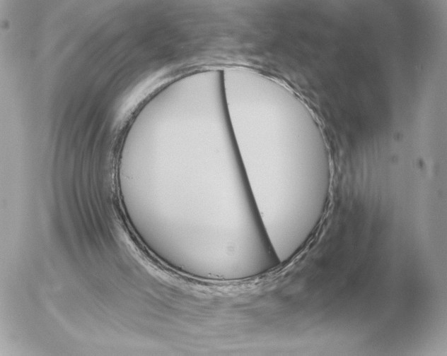 X0000052640005200507221827