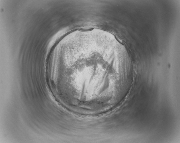 X0000052640006200507221827