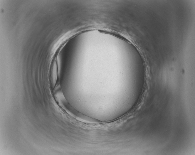 X0000052640007200507221827