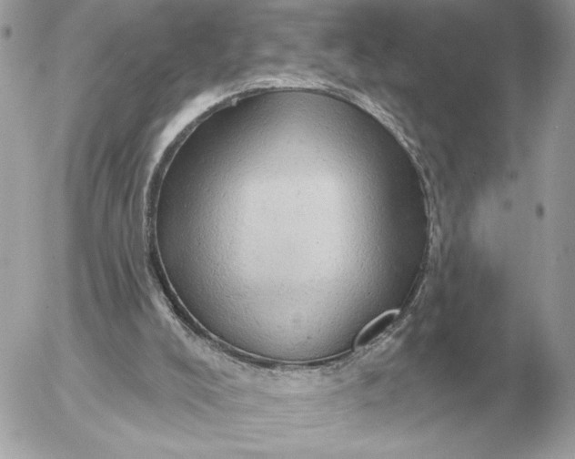 X0000052640008200507221827