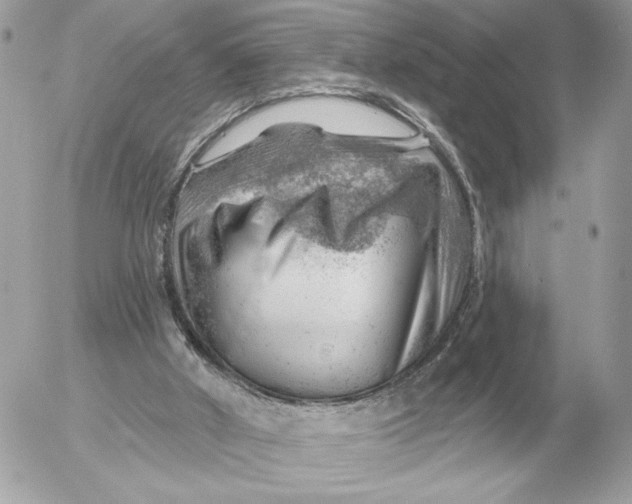 X0000052640010200507221827