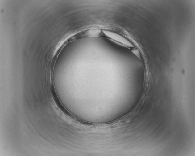 X0000052640011200507221827