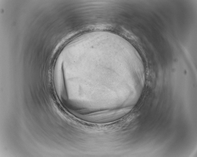 X0000052640012200507221827