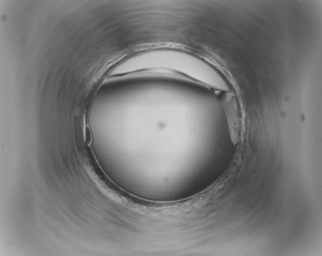 X0000052640013200507221827