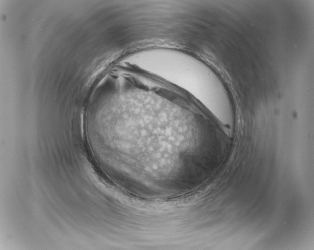 X0000052640014200507221827