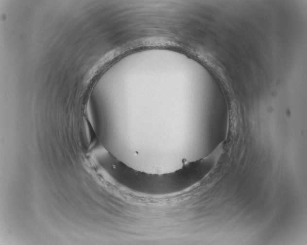 X0000052640015200507221827