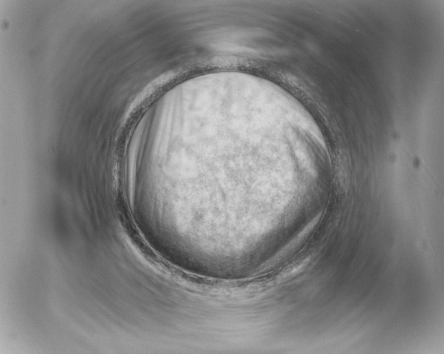 X0000052640016200507221827