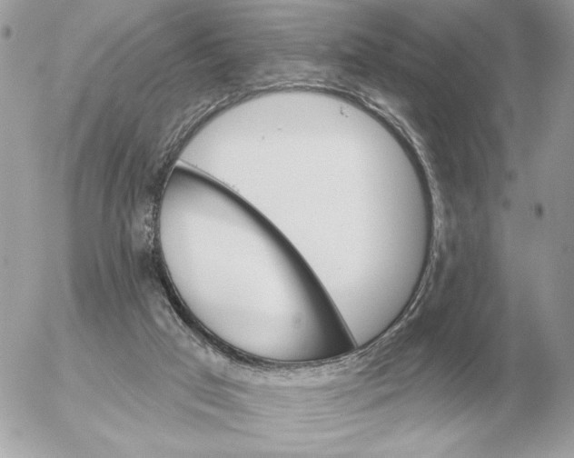 X0000052640017200507221827