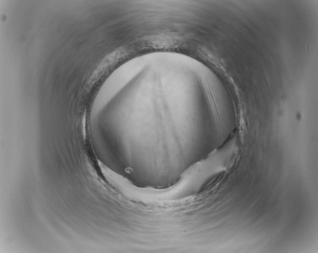 X0000052640019200507221827