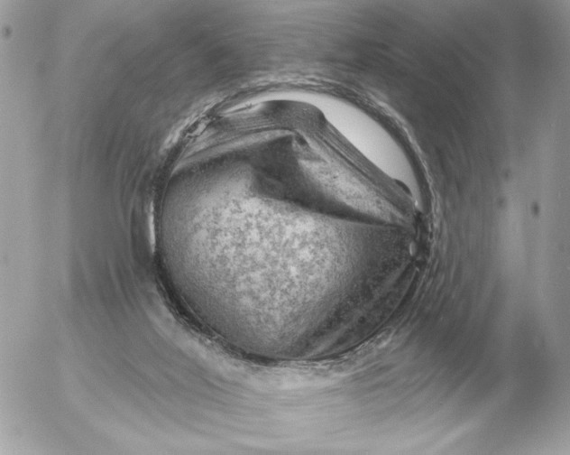 X0000052640020200507221827