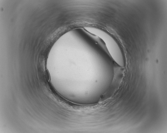 X0000052640021200507221827