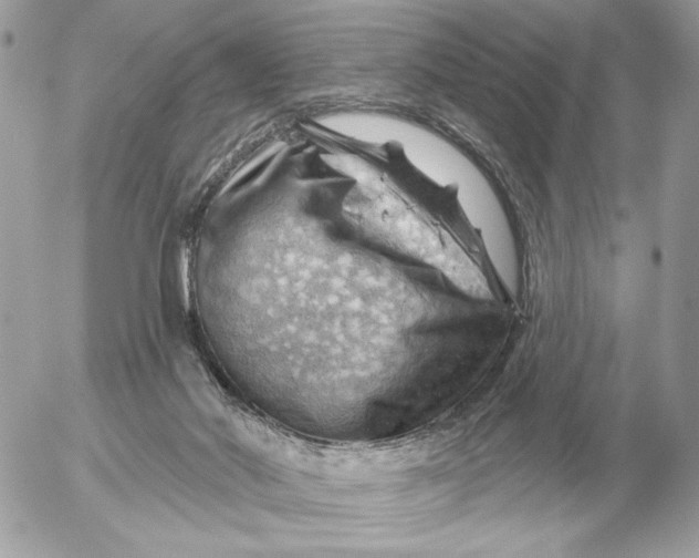 X0000052640022200507221827