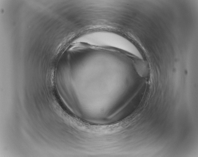 X0000052640023200507221827