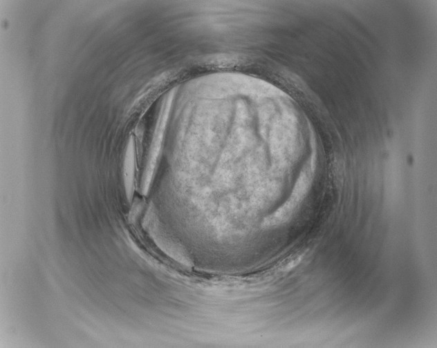 X0000052640024200507221827