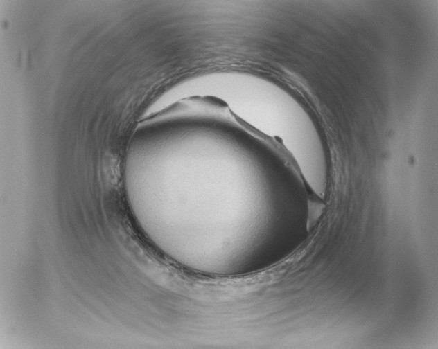 X0000052640025200507221827