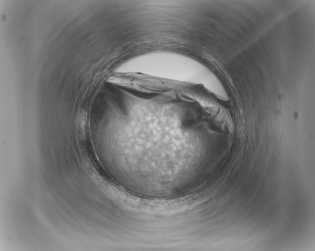 X0000052640026200507221827