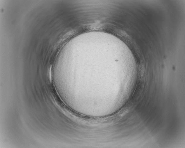 X0000052640028200507221827