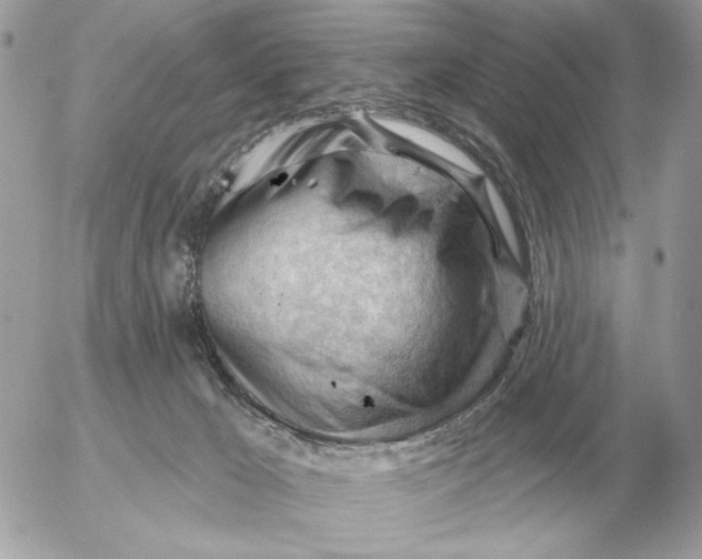 X0000052640029200507221827