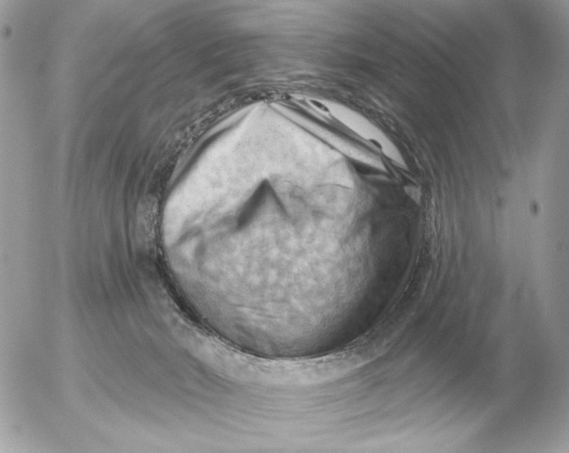 X0000052640030200507221827